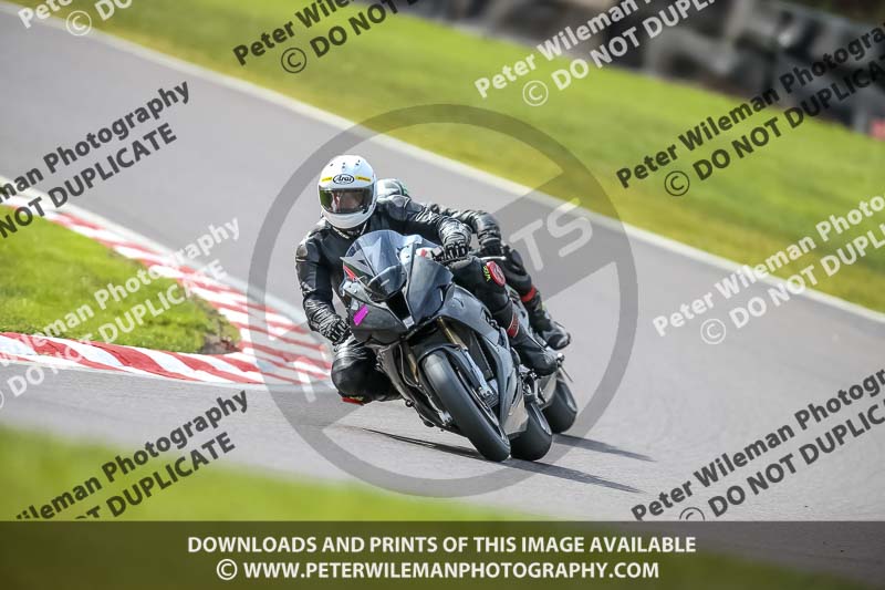 Oulton Park 21st March 2020;PJ Motorsport Photography 2020;anglesey;brands hatch;cadwell park;croft;donington park;enduro digital images;event digital images;eventdigitalimages;mallory;no limits;oulton park;peter wileman photography;racing digital images;silverstone;snetterton;trackday digital images;trackday photos;vmcc banbury run;welsh 2 day enduro